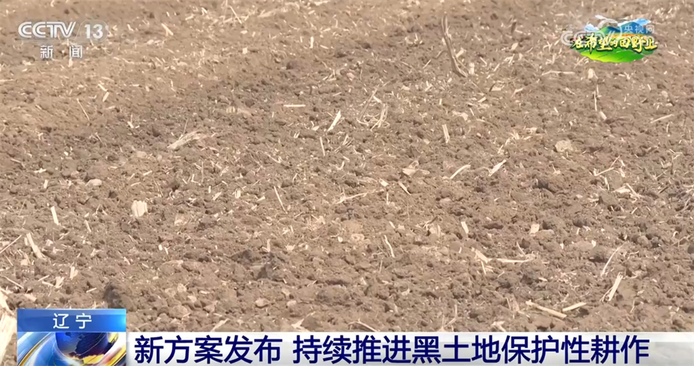 辽宁：筑牢国家“大粮仓” 这里积极探索让黑土地保护有了新答案