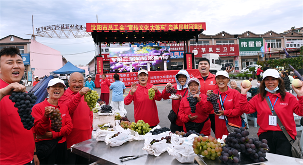 沈阳市和平区浑河站西街道下河湾村第三届葡萄采摘节举行_fororder_下河湾葡萄1