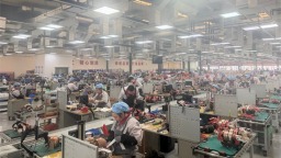 大连普兰店经济开发区按下复工复产“快进键”