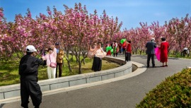 大连普兰店区清明假期文旅市场交出亮眼“成绩单”