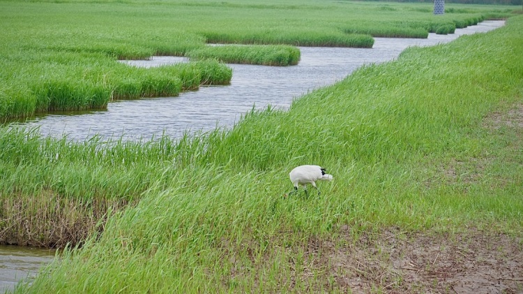 行进中国 | 宜居锦州：绿水青山入画来