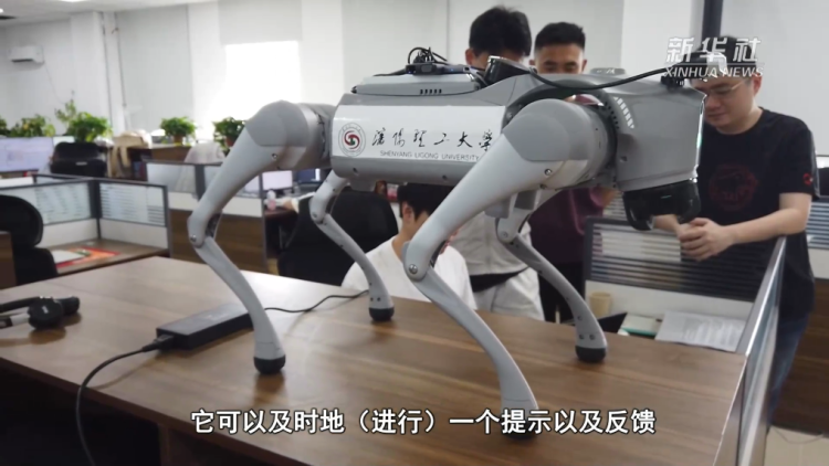 沈阳：电子导盲犬让视障人士“看见”生活点滴