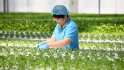 人勤春早启新程 新民市春耕备耕奏响振兴曲