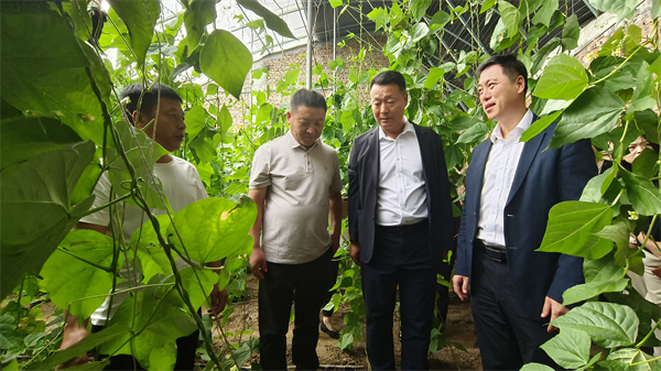三年持续发力！从“授技”到“增收” 田间地头交出科技助残新答卷_fororder_黄非残联加急2