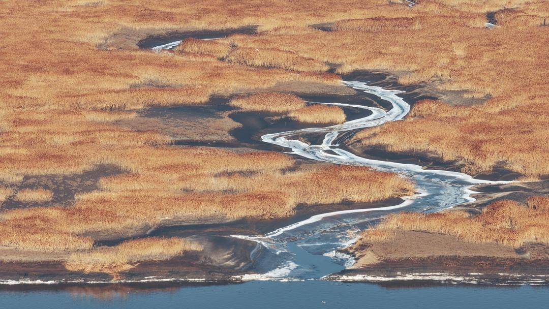 苇海冬景如画卷