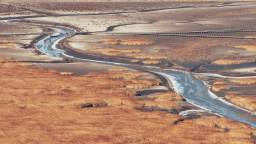 苇海冬景如画卷