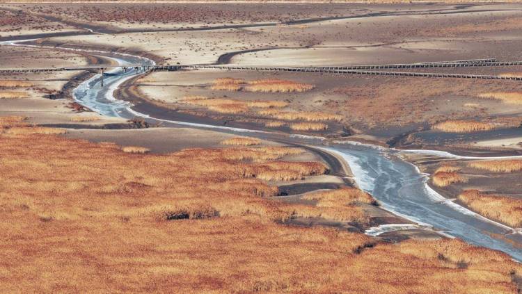 苇海冬景如画卷