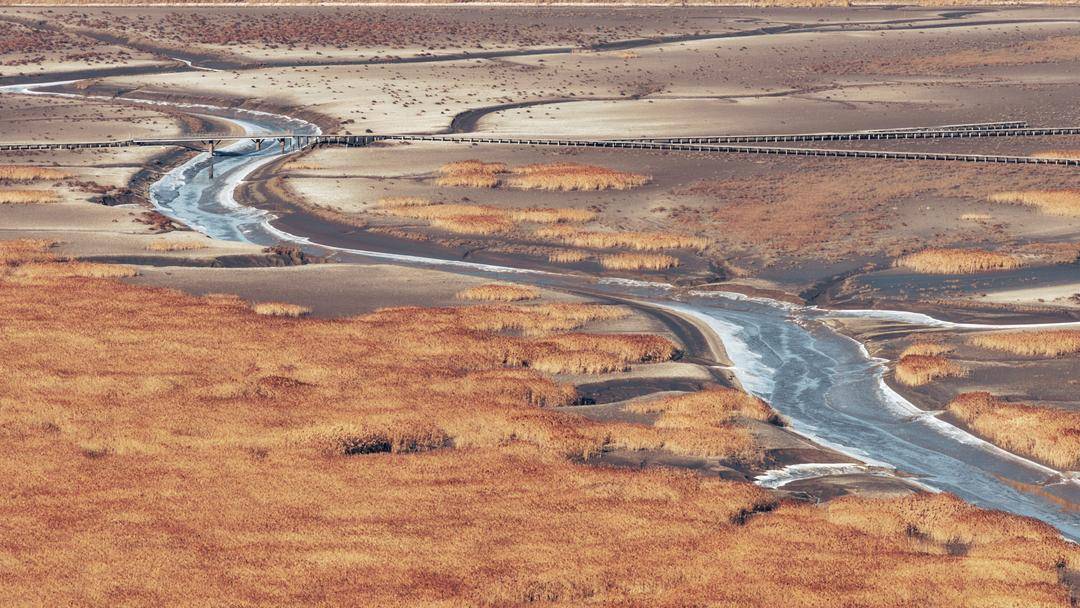 苇海冬景如画卷