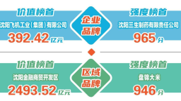 辽宁：262个品牌价值总和超万亿元
