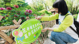 大连：以多彩互动传递绿色理念 以志愿坚守共护滨城花海