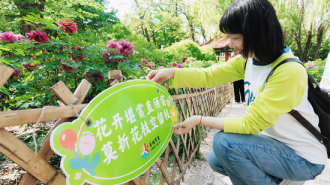 大连：以多彩互动传递绿色理念 以志愿坚守共护滨城花海