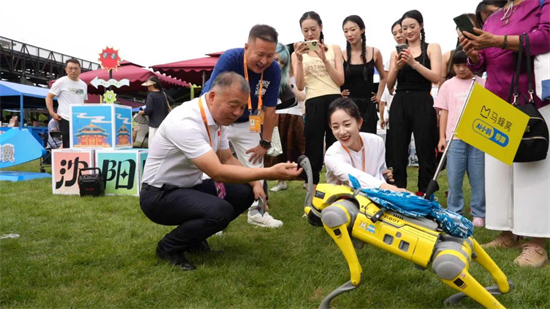 汇聚超高人气，掀起“种草”热潮 沈阳文旅在2025年中国国际服务贸易交易会火热出圈_fororder_06