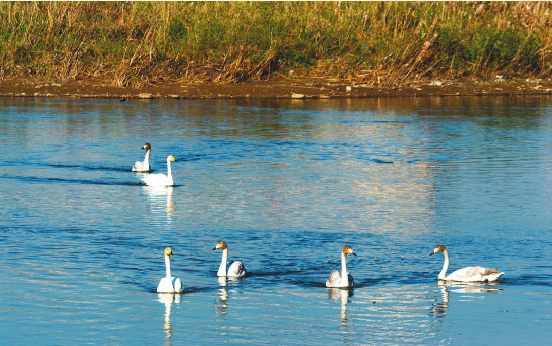 “治山、治水、治城”一体推进 锦州将绿色融入城市肌理