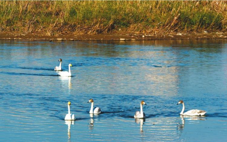 “治山、治水、治城”一体推进 锦州将绿色融入城市肌理