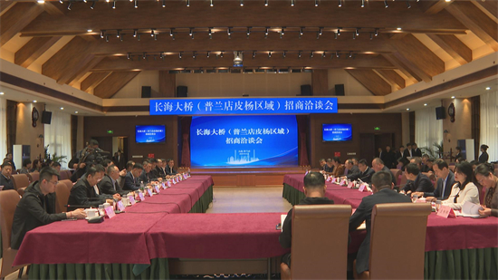 大连：长海大桥（普兰店皮杨区域）招商启动_fororder_普兰店长海2.JPG