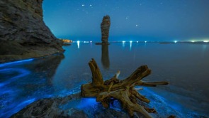 大连“荧光海”，宛若坠星河
