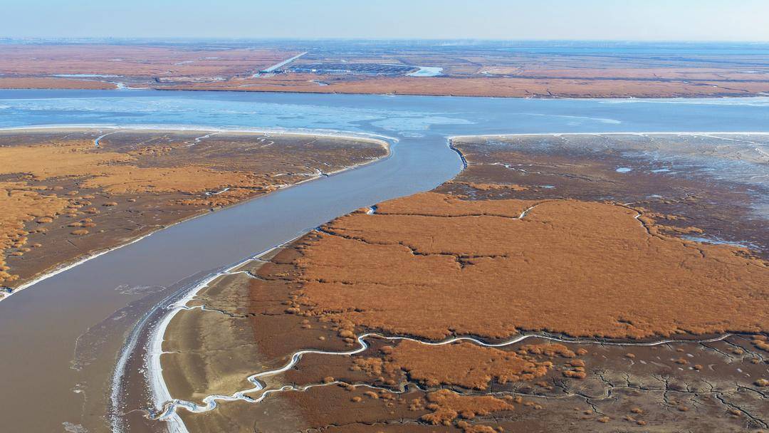 苇海冬景如画卷