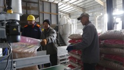 铁岭供电公司上门“体检”保生产 助力花生加工企业新春“开门红”