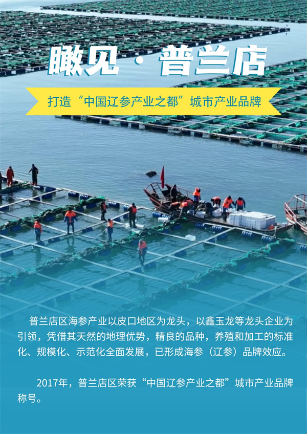 图说·普兰店 | 打造“中国辽参产业之都”城市产业品牌_fororder_图说普兰店1