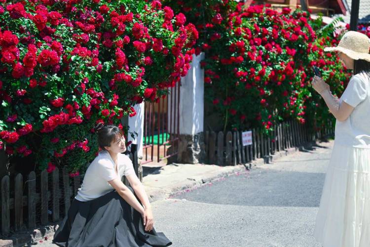 大连：老街小巷，藏不住的“花”样浪漫