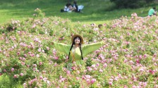 辽宁沈阳：河畔月季花海绚烂盛放