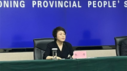 丹东“十五五”聚焦攻坚八大方面 奋力打造现代化边境口岸城市