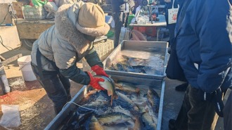 大连普兰店：年味儿里的“海”味道 烟火气中迎新春