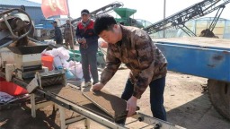 中储粮辽阳直属库开展助农志愿服务活动