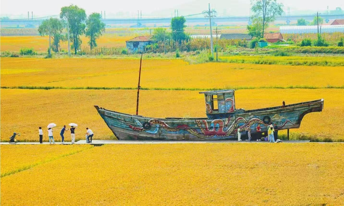 丹东：稻浪如画引客来