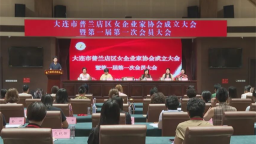 大连市普兰店区女企业家协会正式成立