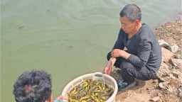 “陆地套种+水产混养”立体种养跑出乡村增收“加速度”