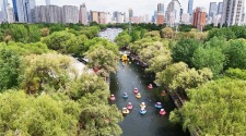 辽宁沈阳：初夏南运河 纳凉好去处