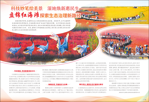 盘锦红海滩探索生态治理新路径