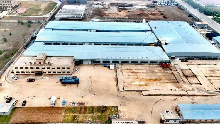 “南鱼北养”！兴城石斑鱼成功上市