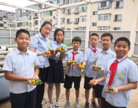 沈阳杏坛小学高年部开展种植项目式学习