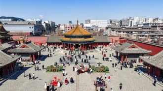 沈阳春日文旅活力足