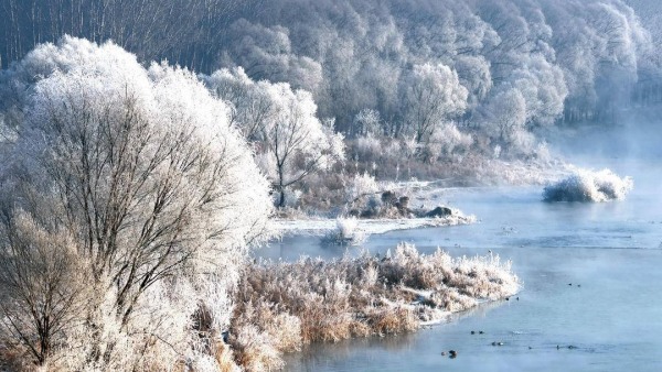 朝阳：雾临凌河岸，树树凇花叠