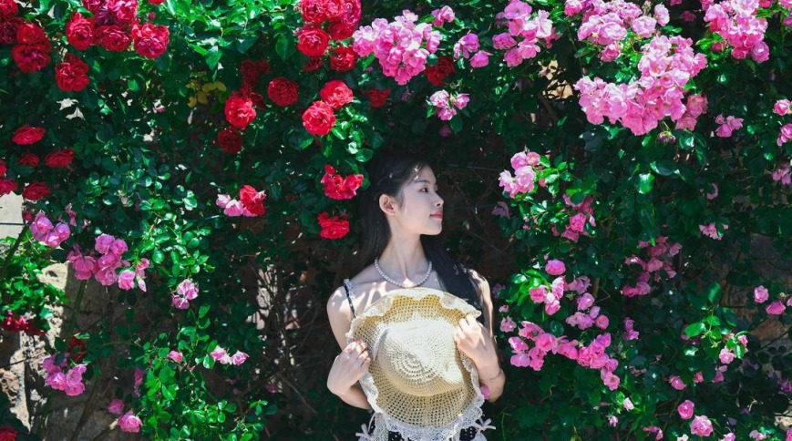 大连：老街小巷，藏不住的“花”样浪漫