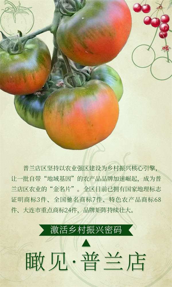 图集·普兰店 | 做好“土特产”文章 激活乡村振兴密码_fororder_海报
