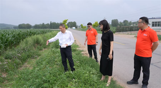 垃圾带变身绿意长廊 阜新化石戈镇公路沿线“美丽新生”_fororder_阜新图1