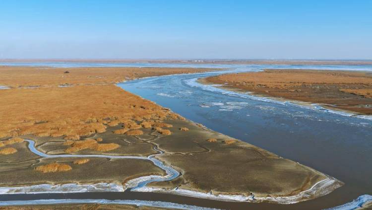 苇海冬景如画卷