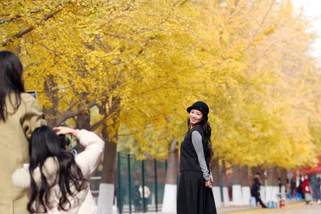 秋日限定款，漫天飞舞的金色浪漫