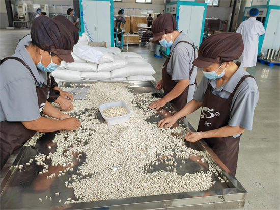 朝阳：走出有机产品带动杂粮产业兴旺的新路径_fororder_常杂粮4
