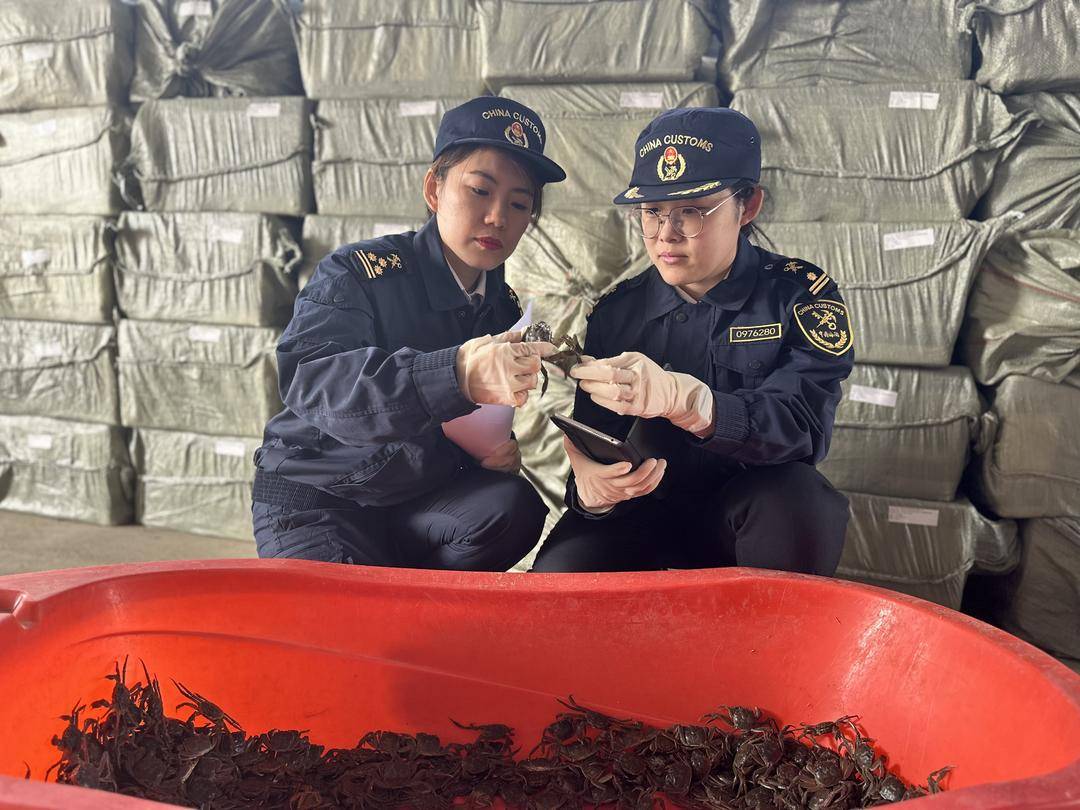 盘锦河蟹首次出口东南亚