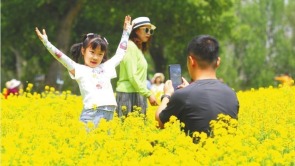 辽宁沈阳：菜花黄 游人醉