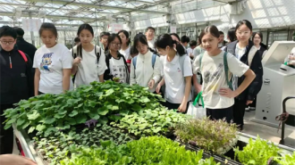 沈阳市博才中学111校区开展研学实践活动