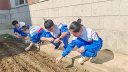 皇姑区举办“岐黄薪火·少年传承基地启动仪式”暨中医药文化进校园活动