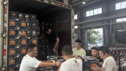 单日销量同比提升4倍！首批盘锦河蟹上市，京东快递即揽即发