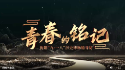 【沈阳处处有故事·“文博游”系列】沈阳“九·一八”历史博物馆：用青春的脚步铭记历史_fororder_wechat_2026-06-05_174307_024