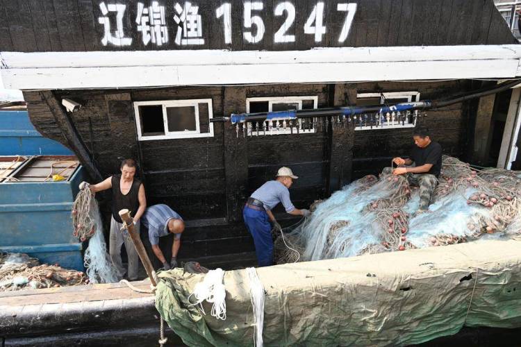 6天狂欢！锦州湾秋捕开渔季启幕